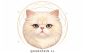 AuroSkin